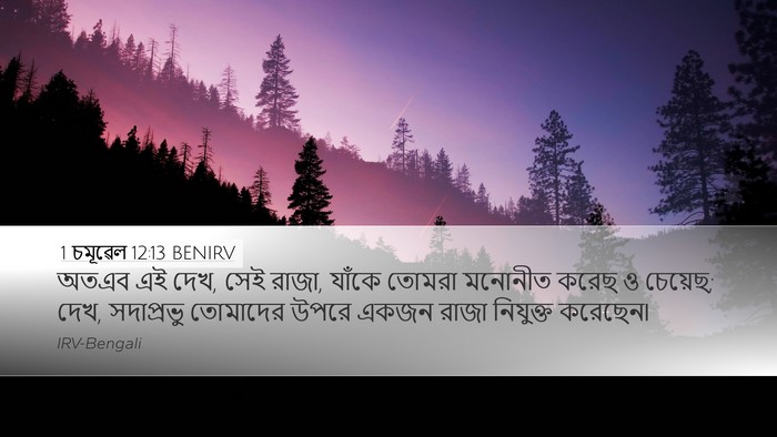1 চমূৱেল 12:13 BENIRV Bible Verse Image