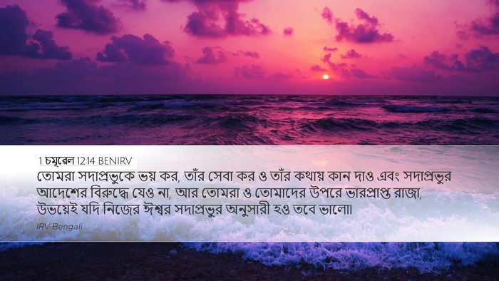 1 চমূৱেল 12:14 BENIRV Bible Verse Image