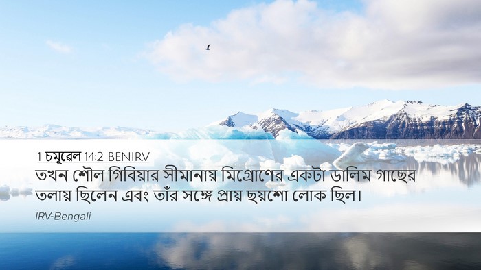 1 চমূৱেল 14:2 BENIRV Bible Verse Image