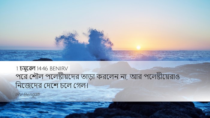 1 চমূৱেল 14:46 BENIRV Bible Verse Image