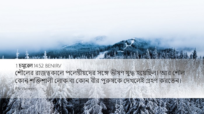 1 চমূৱেল 14:52 BENIRV Bible Verse Image