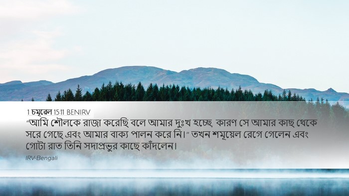 1 চমূৱেল 15:11 BENIRV Bible Verse Image