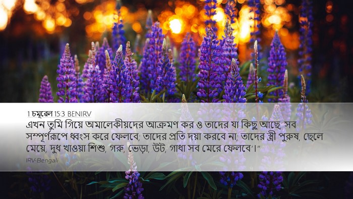 1 চমূৱেল 15:3 BENIRV Bible Verse Image