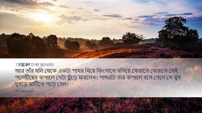 1 চমূৱেল 17:49 BENIRV Bible Verse Image