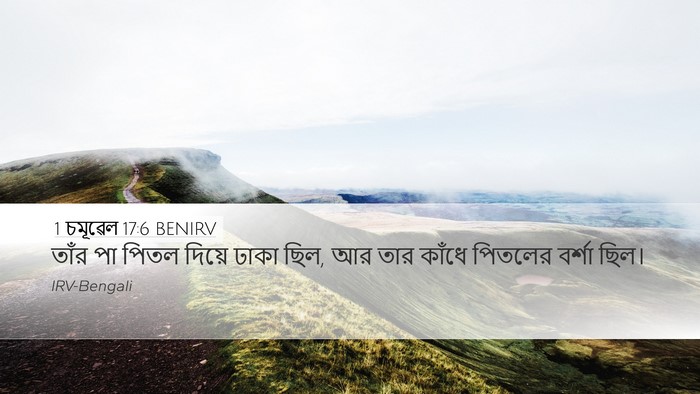1 চমূৱেল 17:6 BENIRV Bible Verse Image