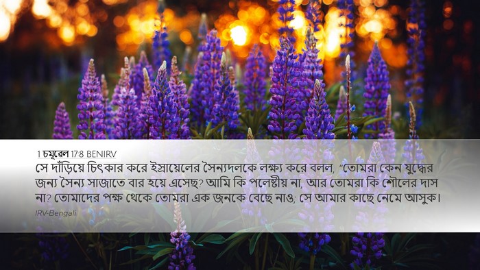 1 চমূৱেল 17:8 BENIRV Bible Verse Image