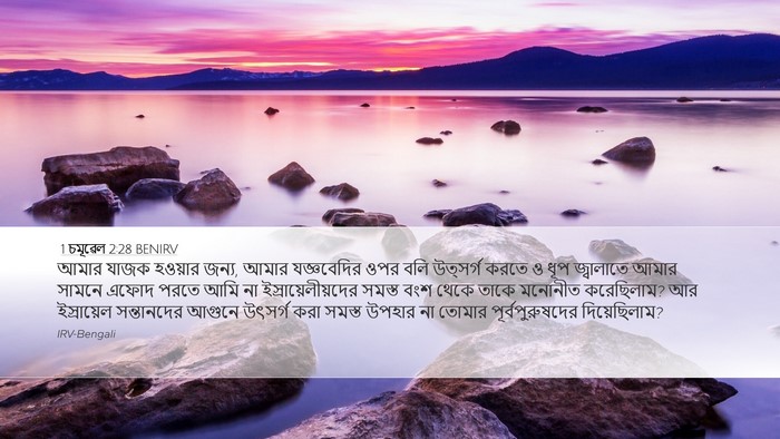 1 চমূৱেল 2:28 BENIRV Bible Verse Image