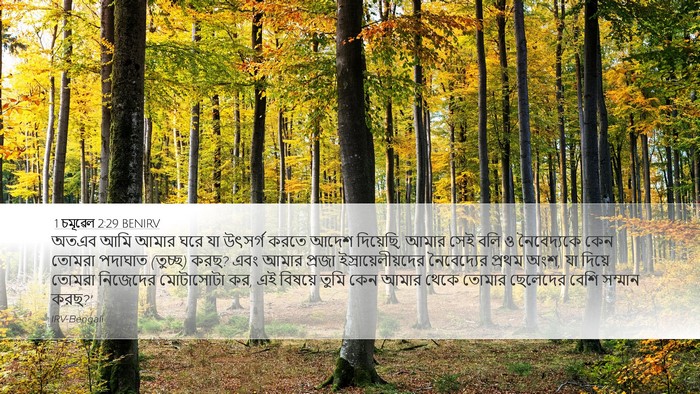 1 চমূৱেল 2:29 BENIRV Bible Verse Image