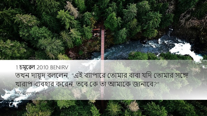1 চমূৱেল 20:10 BENIRV Desktop Wallpaper - তখন দায়ূদ বললেন, - Desktop Bible Verse Wallpaper