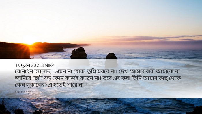 1 চমূৱেল 20:2 BENIRV Bible Verse Image