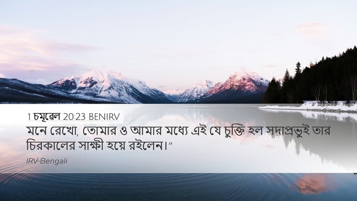 1 চমূৱেল 20:23 BENIRV Bible Verse Image