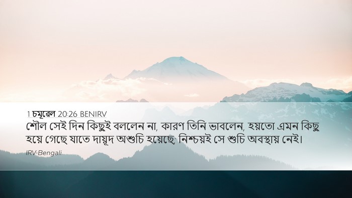 1 চমূৱেল 20:26 BENIRV Desktop Wallpaper - শৌল সেই দিন কিছুই - Desktop Bible Verse Wallpaper