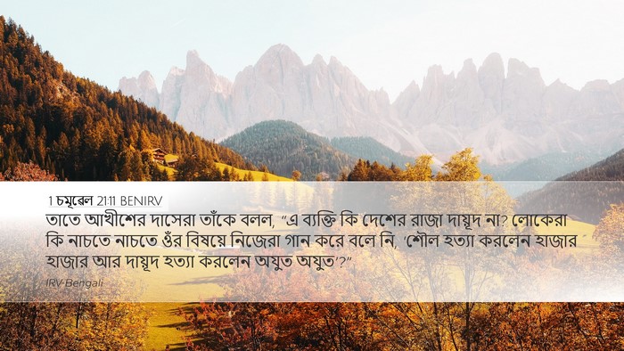 1 চমূৱেল 21:11 BENIRV Bible Verse Image
