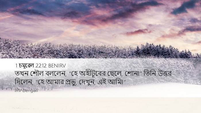 1 চমূৱেল 22:12 BENIRV Bible Verse Image