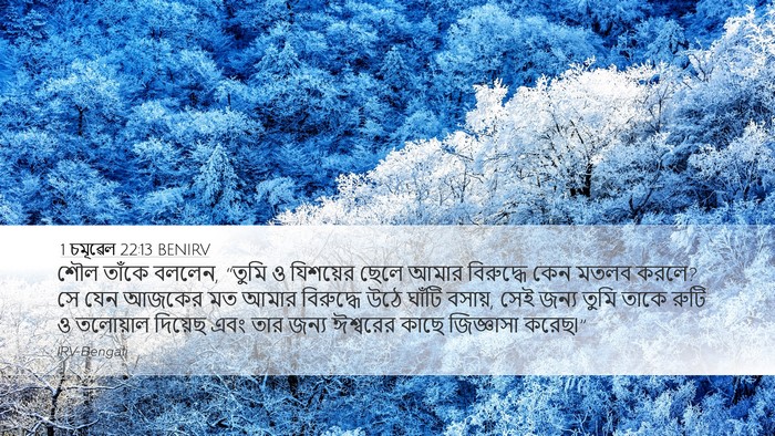 1 চমূৱেল 22:13 BENIRV Bible Verse Image
