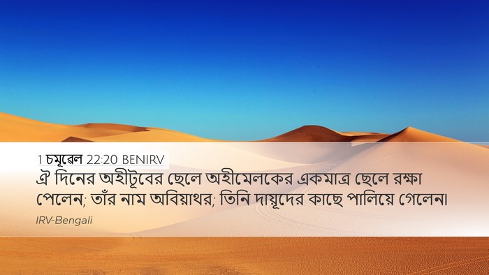 1 চমূৱেল 22:20 BENIRV Bible Verse Image