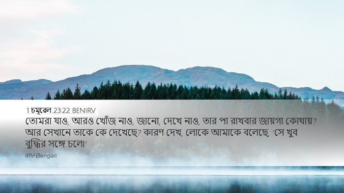 1 চমূৱেল 23:22 BENIRV Bible Verse Image