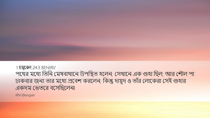 1 চমূৱেল 24:3 BENIRV Bible Verse Image