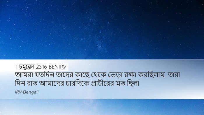 1 চমূৱেল 25:16 BENIRV Bible Verse Image