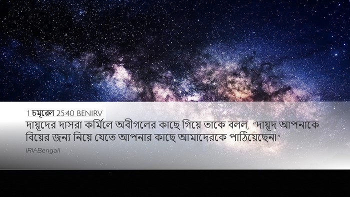1 চমূৱেল 25:40 BENIRV Desktop Wallpaper - দায়ূদের দাসরা - Desktop Bible Verse Wallpaper