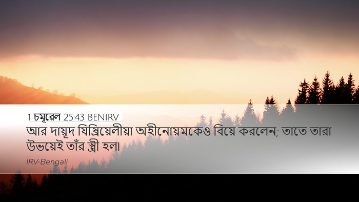 1 চমূৱেল 25:43 BENIRV Desktop Wallpaper - আর দায়ূদ - Desktop Bible Verse Wallpaper