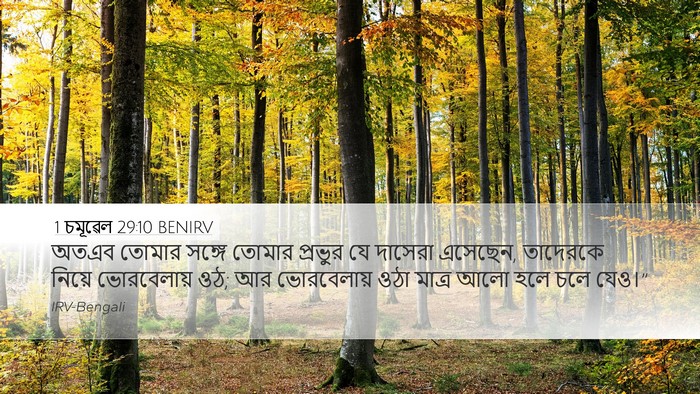 1 চমূৱেল 29:10 BENIRV Desktop Wallpaper - অতএব তোমার সঙ্গে - Desktop Bible Verse Wallpaper