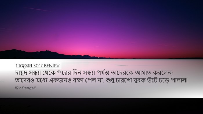 1 চমূৱেল 30:17 BENIRV Bible Verse Image