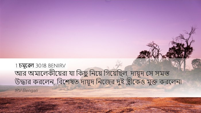 1 চমূৱেল 30:18 BENIRV Bible Verse Image