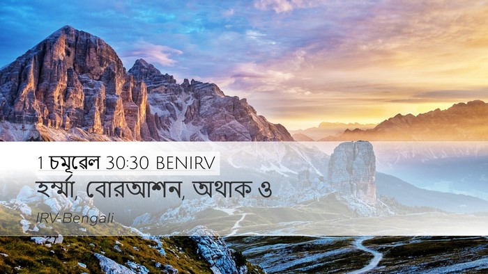1 চমূৱেল 30:30 BENIRV Bible Verse Image