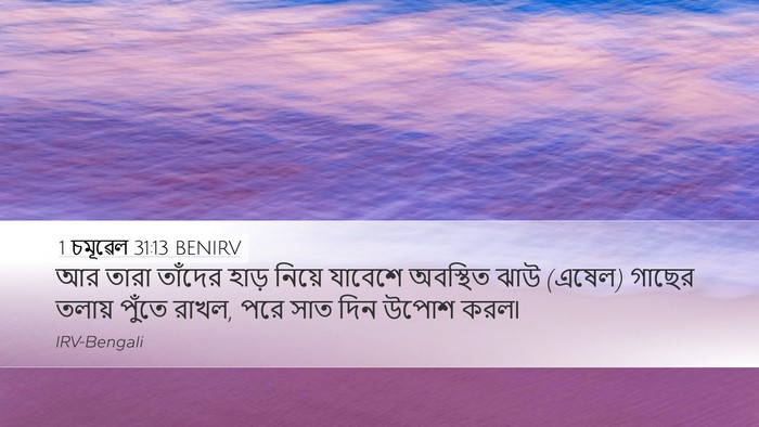 1 চমূৱেল 31:13 BENIRV Desktop Wallpaper - আর তারা তাঁদের - Desktop Bible Verse Wallpaper