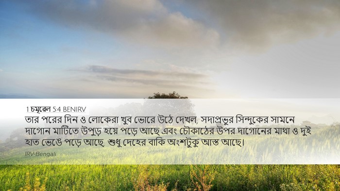 1 চমূৱেল 5:4 BENIRV Desktop Wallpaper - তার পরের দিন ও - Desktop Bible Verse Wallpaper