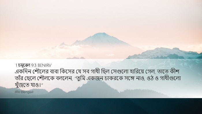 1 চমূৱেল 9:3 BENIRV Bible Verse Image