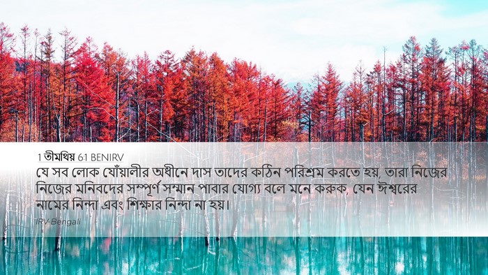 1 তীমথিয় 6:1 BENIRV Bible Verse Image
