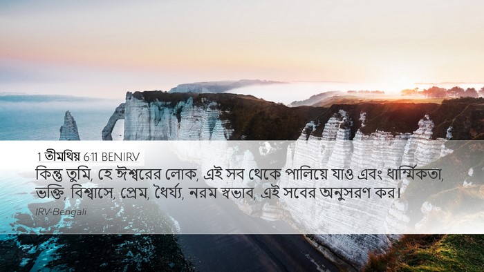 1 তীমথিয় 6:11 BENIRV Bible Verse Image