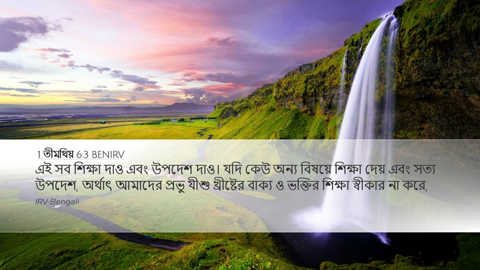 1 তীমথিয় 6:3 BENIRV Bible Verse Image