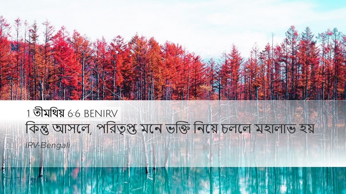 1 তীমথিয় 6:6 BENIRV Bible Verse Image