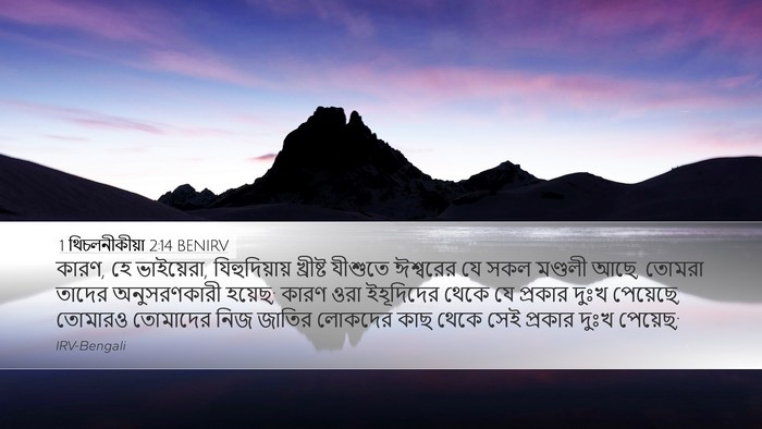 1 থিচলনীকীয়া 2:14 BENIRV Bible Verse Image