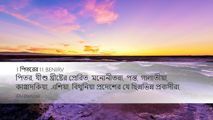 1 পিতরের 1:1 BENIRV Bible Verse Image