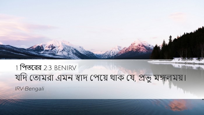 1 পিতরের 2:3 BENIRV Desktop Wallpaper - যদি তোমরা এমন - Desktop Bible Verse Wallpaper
