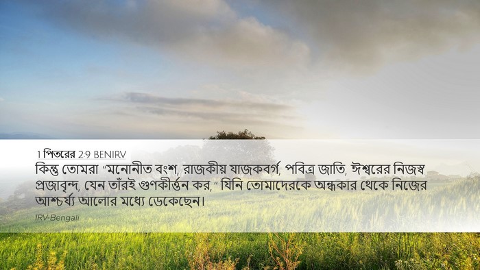 1 পিতরের 2:9 BENIRV Bible Verse Image