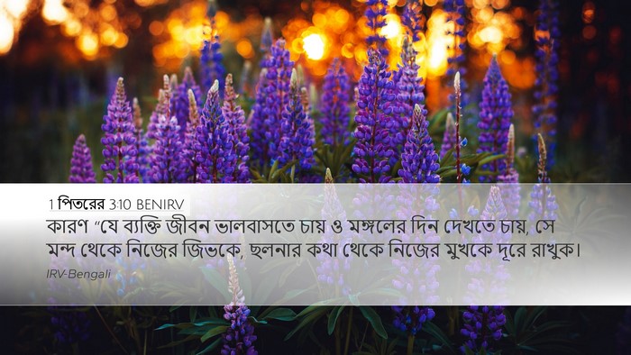 1 পিতরের 3:10 BENIRV Bible Verse Image