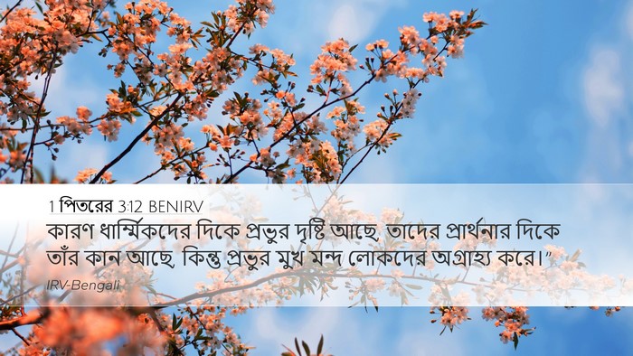 1 পিতরের 3:12 BENIRV Bible Verse Image