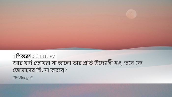 1 পিতরের 3:13 BENIRV Bible Verse Image