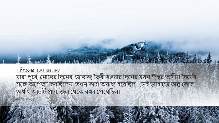 1 পিতরের 3:20 BENIRV Bible Verse Image