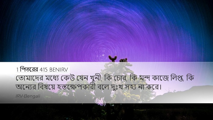1 পিতরের 4:15 BENIRV Bible Verse Image