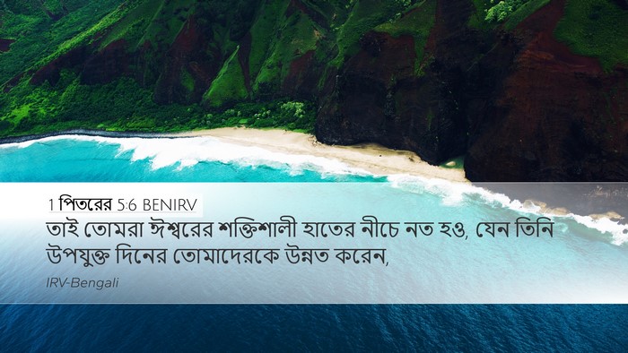 1 পিতরের 5:6 BENIRV Desktop Wallpaper - তাই তোমরা ঈশ্বরের - Desktop Bible Verse Wallpaper