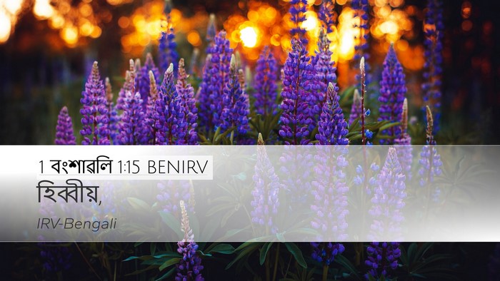 1 বংশাৱলি 1:15 BENIRV Desktop Wallpaper -  - Desktop Bible Verse Wallpaper