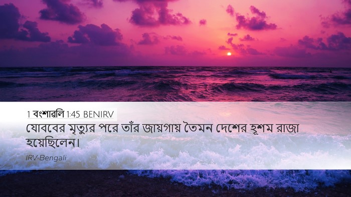 1 বংশাৱলি 1:45 BENIRV Bible Verse Image