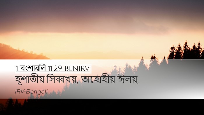 1 বংশাৱলি 11:29 BENIRV Bible Verse Image