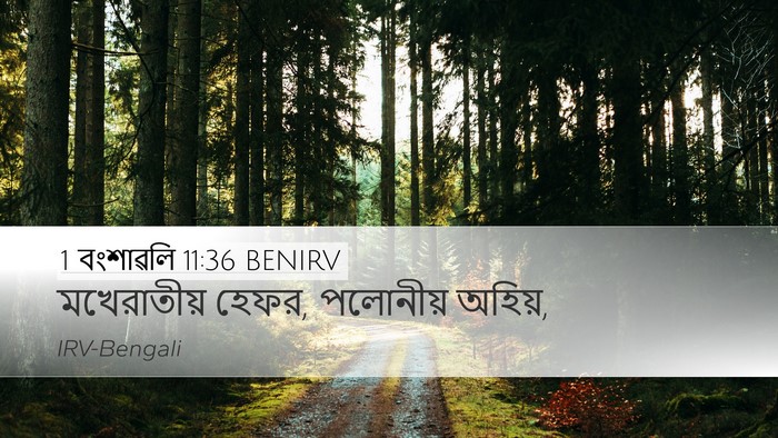 1 বংশাৱলি 11:36 BENIRV Desktop Wallpaper - মখেরাতীয় হেফর, - Desktop Bible Verse Wallpaper
